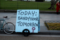 Sandy Hook White House Vigil